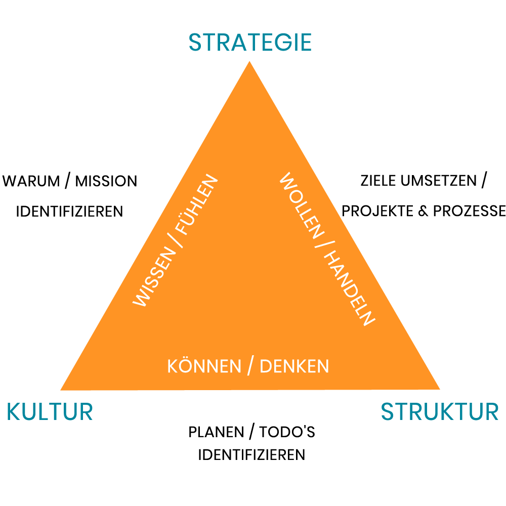 coaching_dreieck_evolve_it_vorgehensweise2